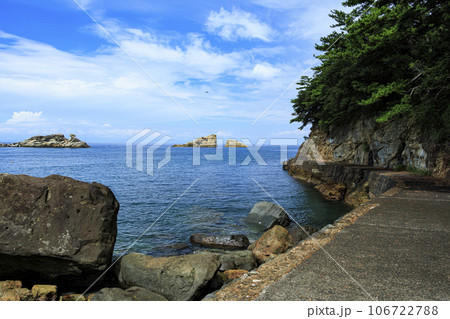 雲見海岸から見た海（夏） 106722788
