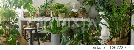 A fragment of the interior with a variety of indoor plants and plaster sculptures. Urban jungle concept. Biophilia design. 106722915