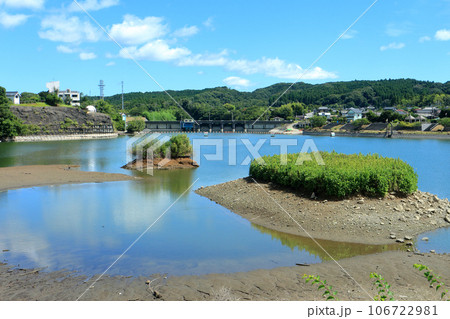 貯水率が低下した亀山湖（君津市） 106722981