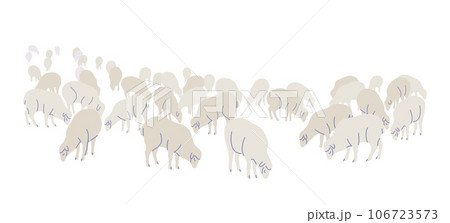 Farm Sheep Flock Isolated  on White 106723573