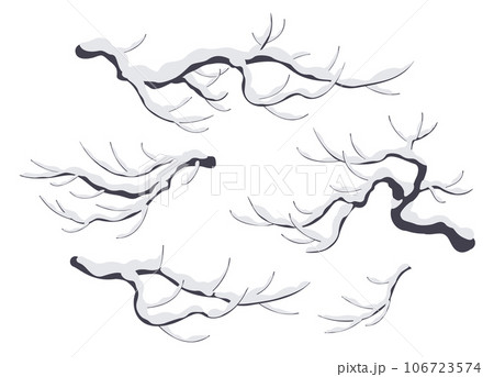 Snow Covered Tree Branches Isolated on White 106723574