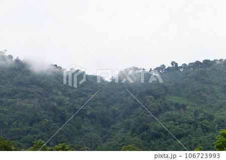 Misty foggy mountain landscape with forest green. Important tourist attractions in Thailand. Atmosphere in morning was little sunshine, cloudy like it was raining humid weather. 106723993