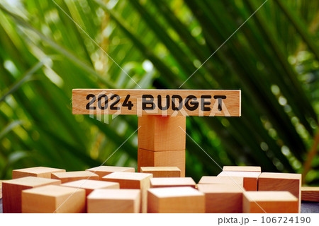 2024 budget text on wooden block with nature concept background. Budgeting concept. 2024 budget text on wooden block with nature concept background. Budgeting concept. 106724190