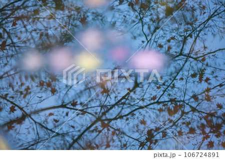 滋賀県 湖東三山の1つである金剛輪寺の秋の紅葉を撮影 滋賀県 湖東三山の1つである金剛輪寺の秋の紅葉を撮影 106724891