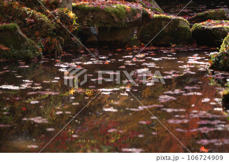 滋賀県 湖東三山の1つである金剛輪寺の秋の紅葉を撮影 106724909