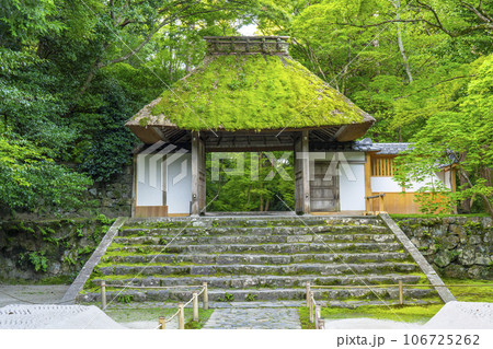 法然院　茅葺の山門（京都 哲学の道近く） 106725262