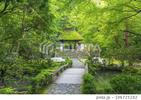 法然院 茅葺の山門と白砂の盛り砂“白砂壇”(京都 哲学の道近く) 法然院 茅葺の山門と白砂の盛り砂“白砂壇”(京都 哲学の道近く) 106725282