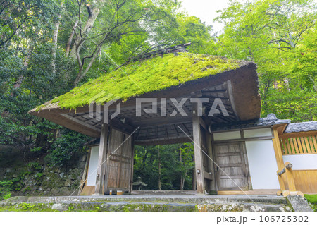 法然院　風情あふれる茅葺の山門（京都 哲学の道近く） 106725302