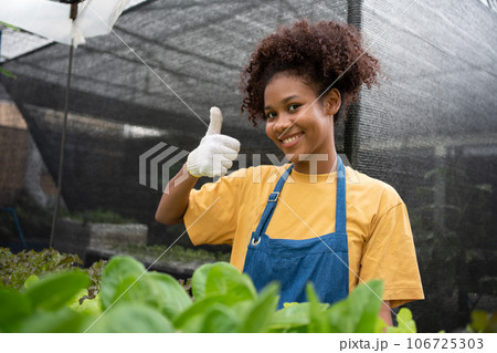 Portrait of happy half Thai half African woman farmer standing behind vegetable plot in her backyard. Concept of agriculture organic for health, Vegan food and Small business. Portrait of happy half Thai half African woman farmer standing behind vegetable plot in her backyard. Concept of agriculture organic for health, Vegan food and Small business. 106725303