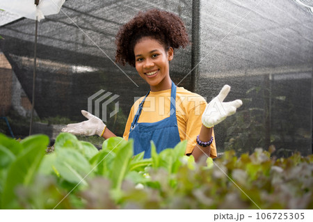 Portrait of happy half Thai half African woman farmer standing behind vegetable plot in her backyard. Concept of agriculture organic for health, Vegan food and Small business. 106725305