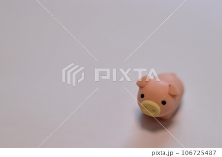 ややアップに映った子豚 106725487