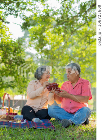 Happy old elderly couple spouses relaxing and sitting on a blanket in the park and sharing few precious memories. Senior couple having great time together on a picnic. concept of mature relationships Happy old elderly couple spouses relaxing and sitting on a blanket in the park and sharing few precious memories. Senior couple having great time together on a picnic. concept of mature relationships 106725609