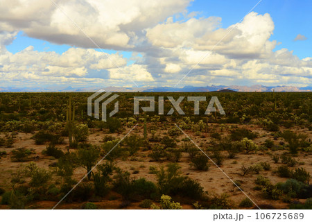 Sonora Desert Arizona 106725689
