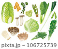 野菜のイラストセット3 106725739
