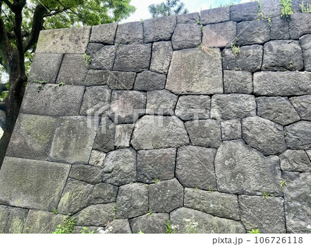 石垣と樹木/Stone wall & Tree 106726118
