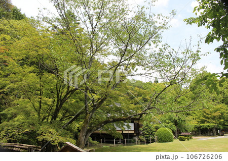 兵庫県 龍野 市街地 史跡 遺産 兵庫県 龍野 市街地 史跡 遺産 106726206