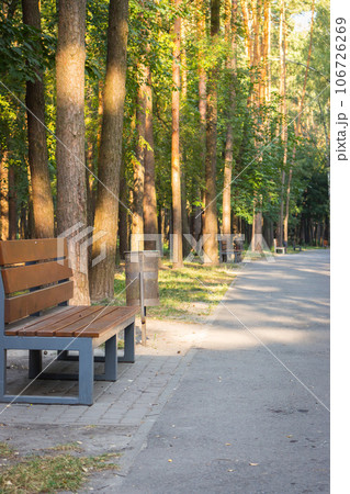Empty bench in the forest. Morning sunlight in tranquil park. Tranquil landscape. Empty bench and walkway in woods. Path in perspective in natural park. Sunny morning in parkland. Autumn nature. Empty bench in the forest. Morning sunlight in tranquil park. Tranquil landscape. Empty bench and walkway in woods. Path in perspective in natural park. Sunny morning in parkland. Autumn nature. 106726269