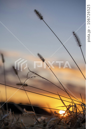 夕暮れの空と沈みゆく太陽 106726525