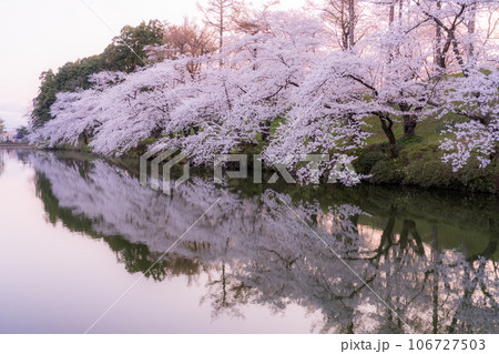 《新潟県》桜満開・春の高田城址公園 《新潟県》桜満開・春の高田城址公園 106727503
