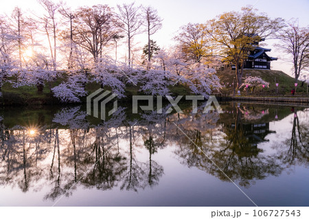 《新潟県》桜満開・春の高田城址公園 106727543