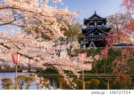 《新潟県》桜満開・春の高田城址公園 106727554