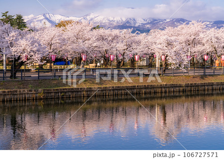 《新潟県》桜満開・春の高田城址公園 106727571