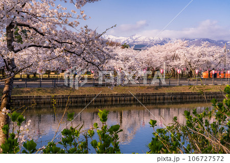 《新潟県》桜満開・春の高田城址公園 《新潟県》桜満開・春の高田城址公園 106727572