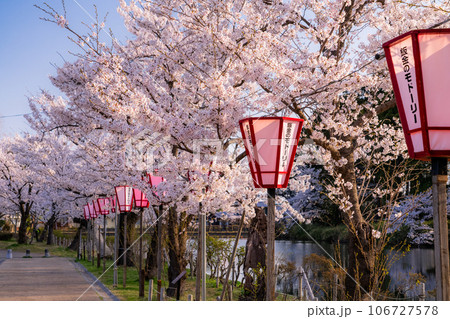 《新潟県》桜満開・春の高田城址公園 《新潟県》桜満開・春の高田城址公園 106727578