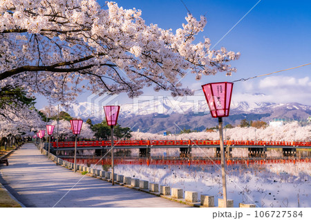 《新潟県》桜満開・春の高田城址公園 106727584
