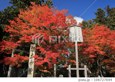 比叡山延暦寺東塔 根本中堂の紅葉 比叡山延暦寺東塔 根本中堂の紅葉 106727694