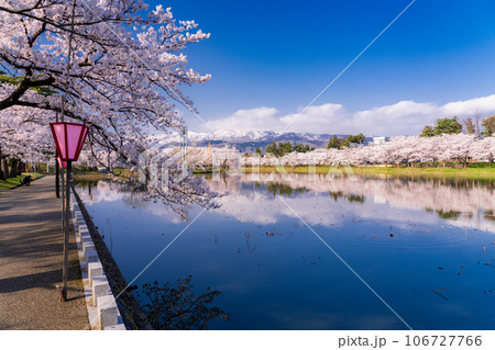 《新潟県》桜満開・春の高田城址公園 106727766