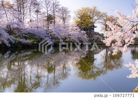 《新潟県》桜満開・春の高田城址公園 《新潟県》桜満開・春の高田城址公園 106727771