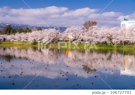 《新潟県》桜満開・春の高田城址公園 《新潟県》桜満開・春の高田城址公園 106727781