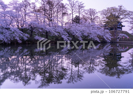 《新潟県》桜満開・春の高田城址公園 106727791