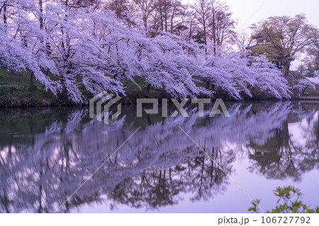 《新潟県》桜満開・春の高田城址公園 《新潟県》桜満開・春の高田城址公園 106727792