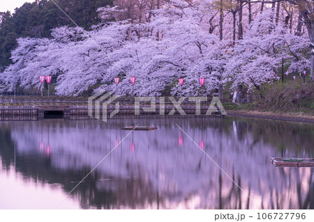 《新潟県》桜満開・春の高田城址公園 106727796