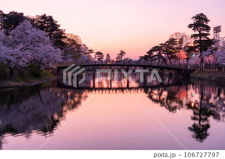 《新潟県》桜満開・春の高田城址公園 《新潟県》桜満開・春の高田城址公園 106727797