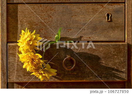 Yellow rudbeckia flowers in drawer of an antique desk. Goodbye, summer. Hello, fall. mood of light sadness 106727850