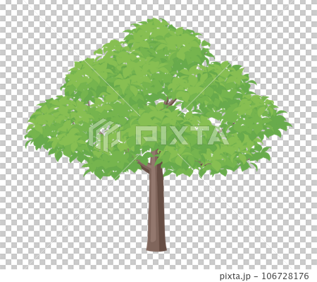 木のイラスト 木のイラスト 106728176