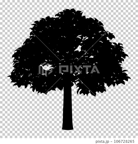 Tree illustration_silhouette 106728265