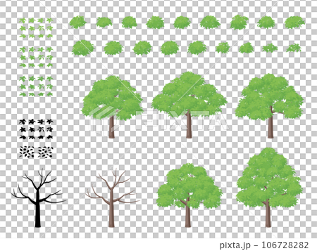 Tree illustration_hardwood Tree illustration_hardwood 106728282