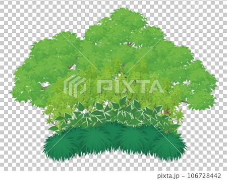 日式植物背景圖 106728442