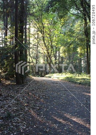 那須乃木神社境内の林 106728495