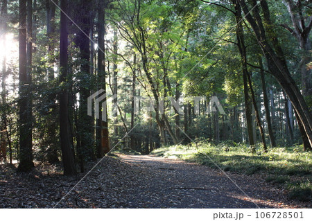 那須乃木神社境内の林 那須乃木神社境内の林 106728501