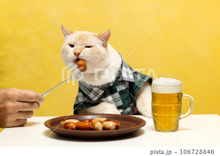Cat in a shirt at an Oktoberfest table eating a sausage with a fork. Yellow background Cat in a shirt at an Oktoberfest table eating a sausage with a fork. Yellow background 106728846