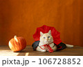 Halloween cute cat in a vampire costume and pumpkin a orange background. 106728852