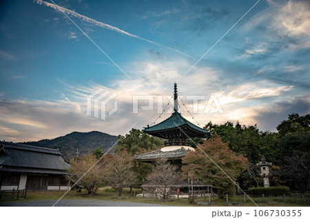 清凉寺の秋、飛行機雲の横切る秋空の下にたたずむ多宝塔 106730355