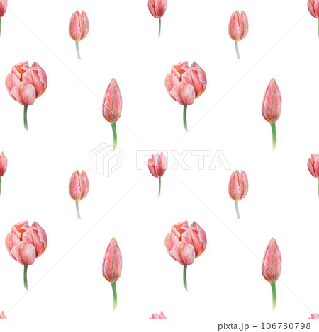 Pink tulips seamless pattern painted in watercolor, realistic botanical hand drawn illustration, background for design, wedding print products, paper, invitations, cards, fabric 106730798