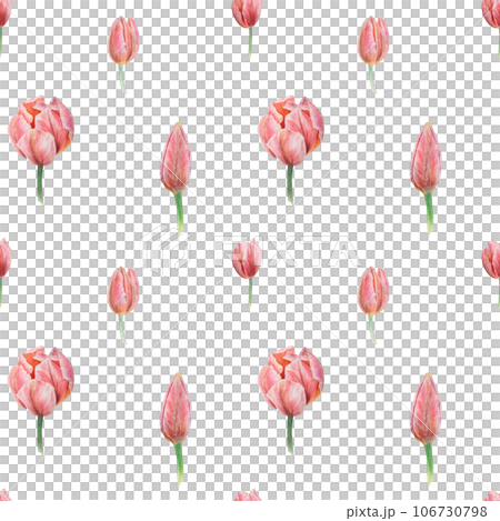 Pink tulips seamless pattern painted in watercolor, realistic botanical hand drawn illustration, background for design, wedding print products, paper, invitations, cards, fabric 106730798