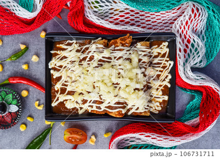 Chilaquiles with chicken and sour cream and sauce with mexican flag on a gray background Chilaquiles with chicken and sour cream and sauce with mexican flag on a gray background 106731711